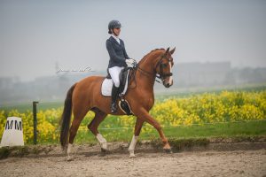 Nieuw Paard; Geronimo